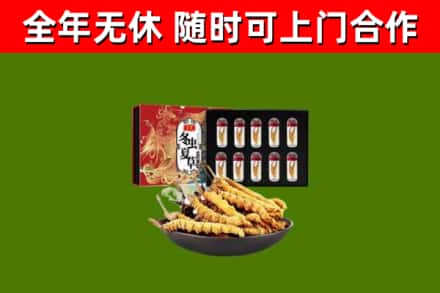 河津市烟酒回收冬虫夏草礼盒.jpg
