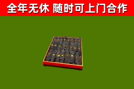 河津市回收海参